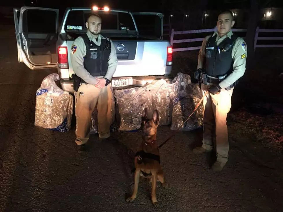 200 Pounds of Marijuana Seized in Latest Texas Drug Bust