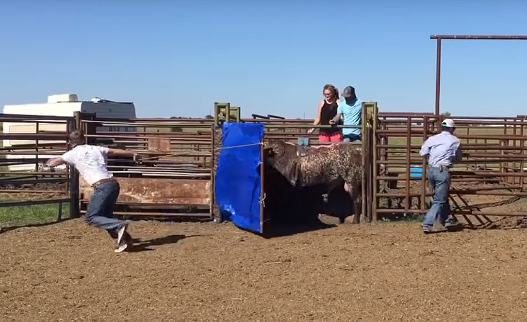 Texas Father Saves Unconscious Son from a Bull During a Rodeo