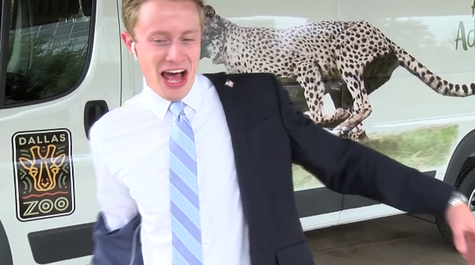 Wichita Falls TV Reporter Gets Pooped on During Dallas Zoo Animal Show [VIDEO]