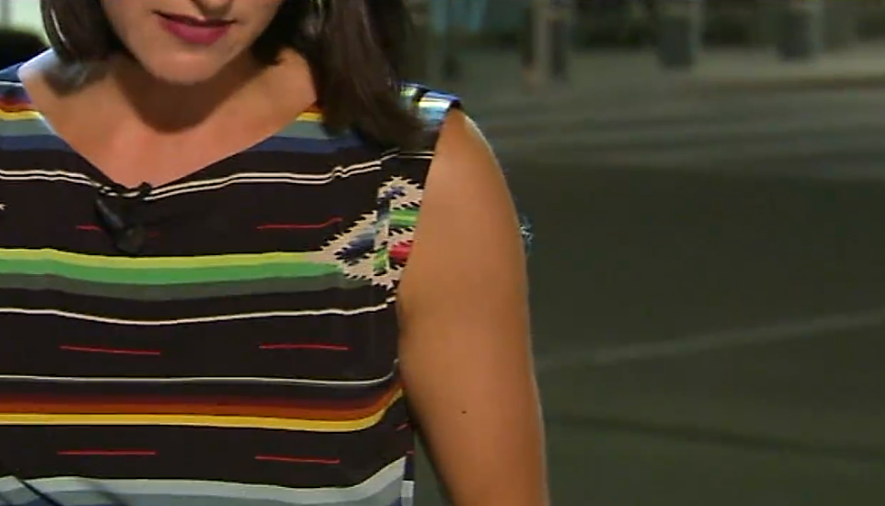 North Texas Reporter Keeps Her Cool With a Spider On Her Arm Live on Air [VIDEO]