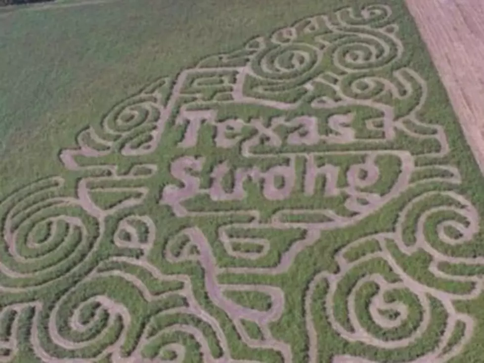 Texas Corn Maze Designs ‘Texas Strong’ Maze in Honor of Hurricane Harvey Victims
