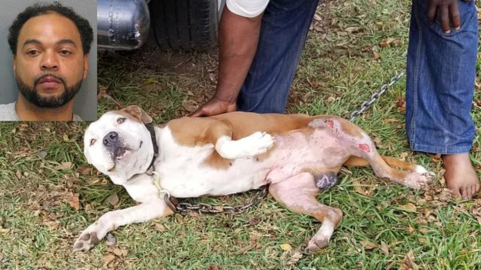 Texas Man Arrested After Allegedly Setting Dog on Fire