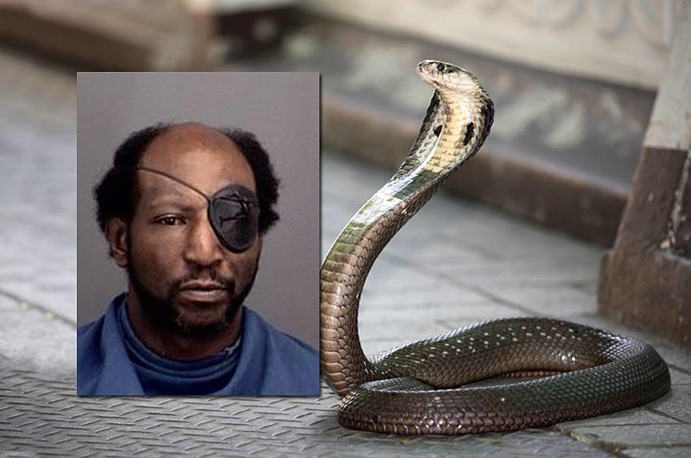 Wichita Falls Man Claimed to Be a Snake While Attacking Officers