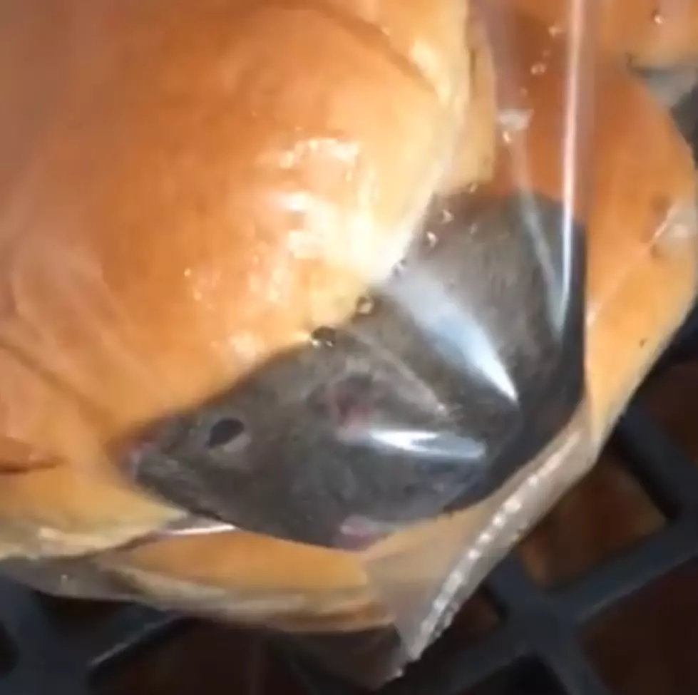 Oklahoma Wendy&#8217;s Employee Finds Live Mouse in a Bag of Buns