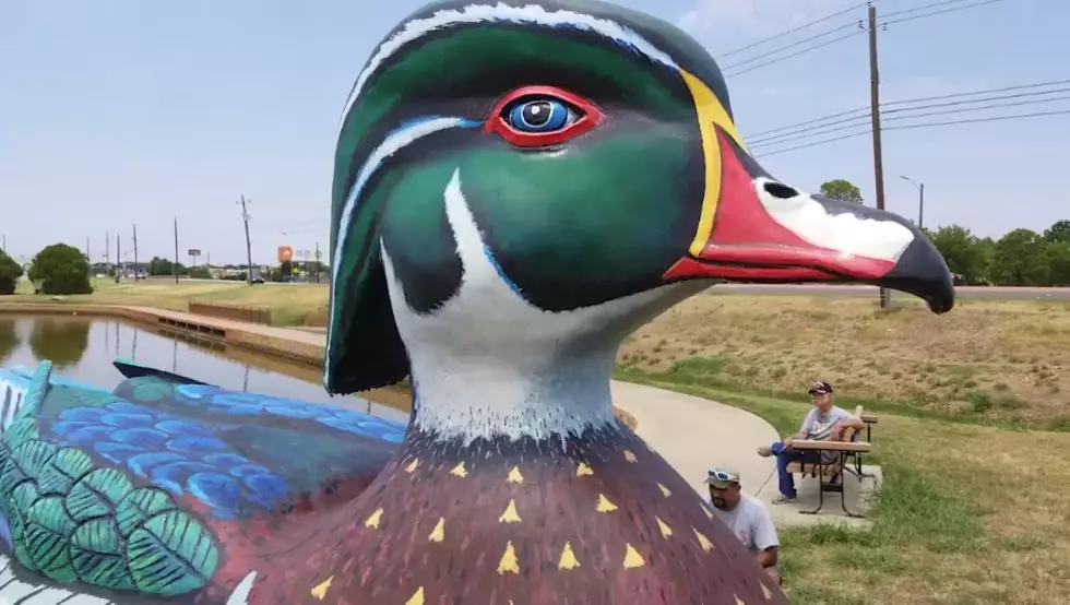 Wally the Duck Floating Exhibit Unveiled by the City of Wichita Falls