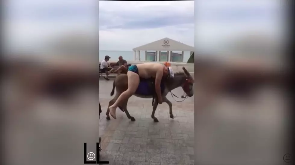 Half-Naked, Passed Out Dude on Donkey Chased by Cops