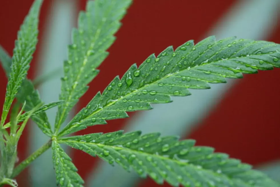 Texas Senator Files Bill to Expand Who Can Use Medical Marijuana