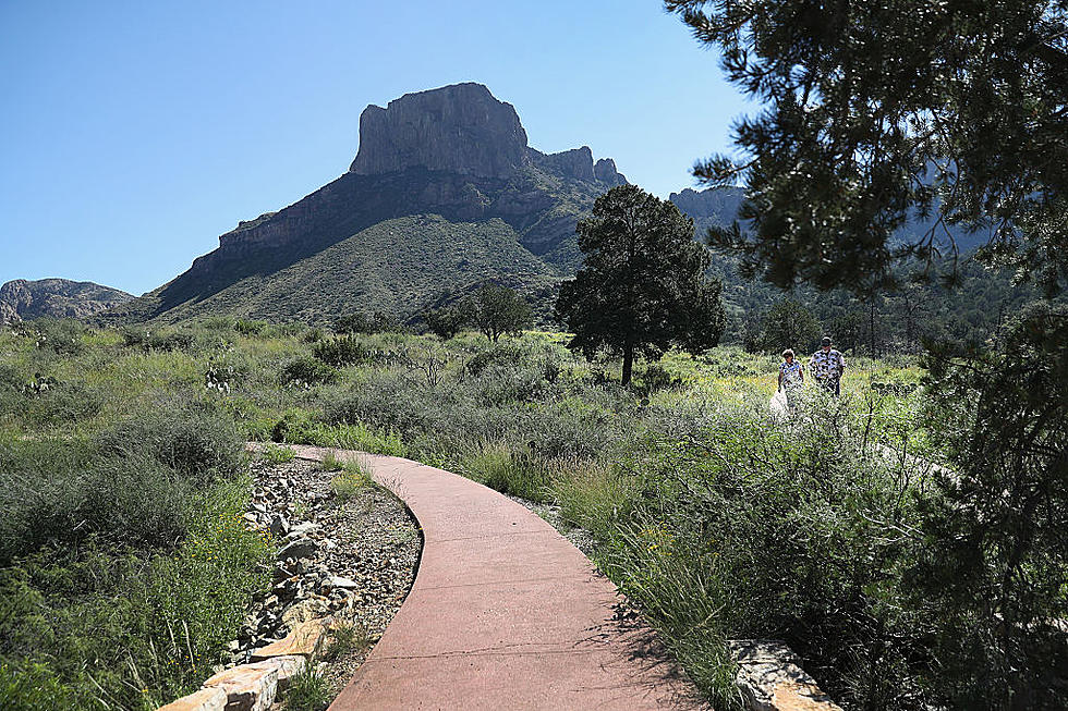 Texas Rolling Out a New Reservation System for All State Parks in the Near Future