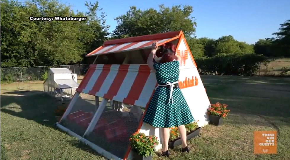 North Texas Couple Builds a Whataburger Chicken Coop