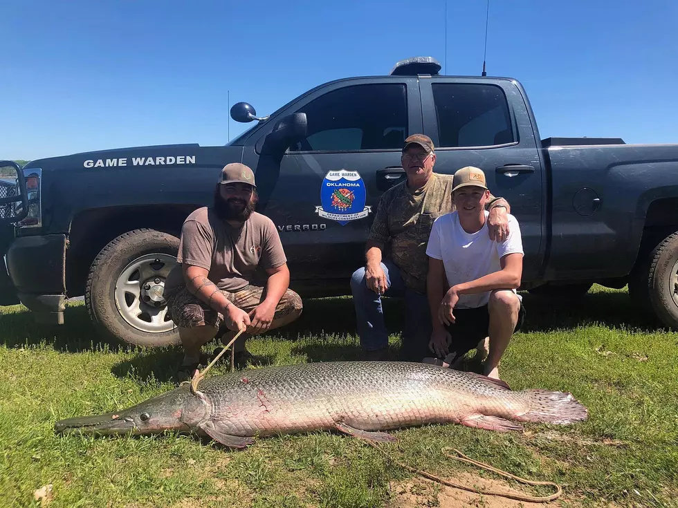 Durant Fisherman Lands Huge Gar on Texoma