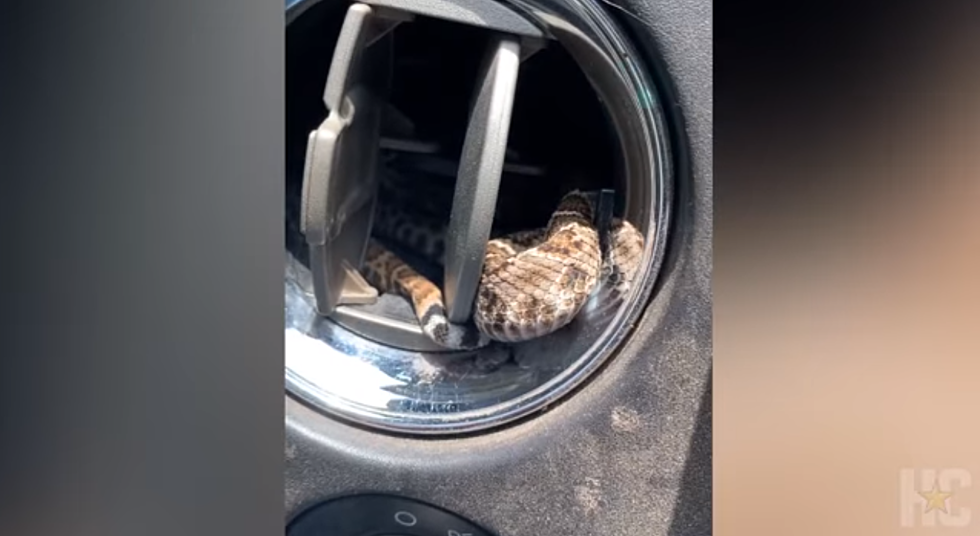 North Texas Man Finds Rattlesnake in Truck’s A/C Vent