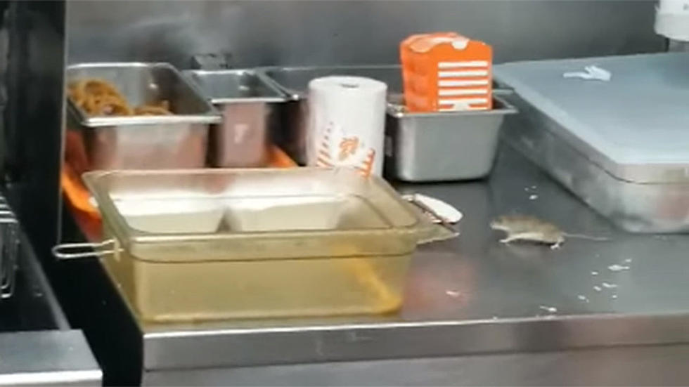 Texas Whataburger Has A Mouse Problem and it Jumped in the Deep Fryer