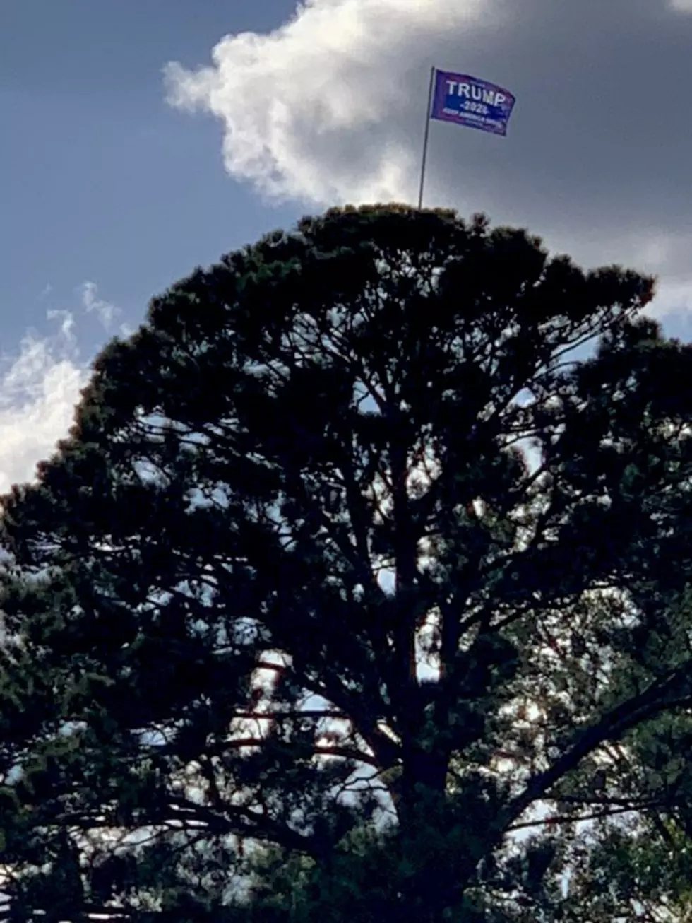 President Trump Shouts Out  Man That is Climbing to Hang Flags