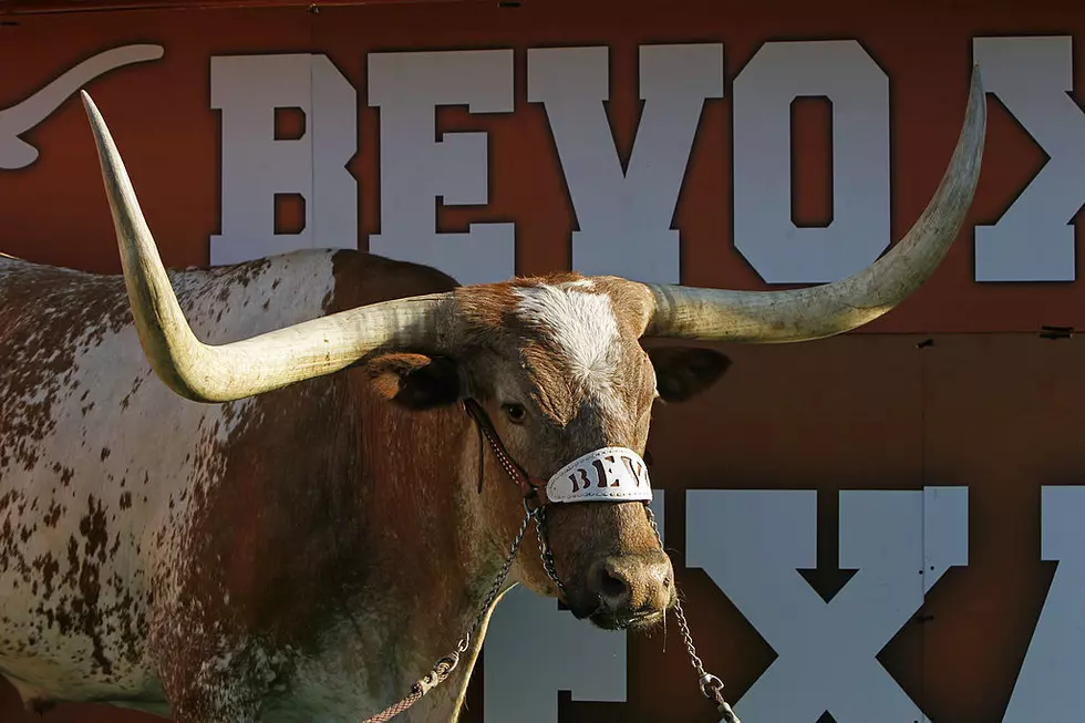 Photographer Suing The University of Texas Over Bevo Charge