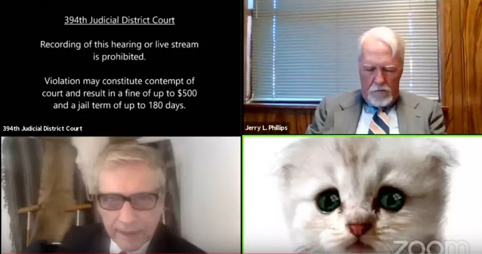 Texas Attorney Accidentally Left Cat Filter on Zoom Court Case