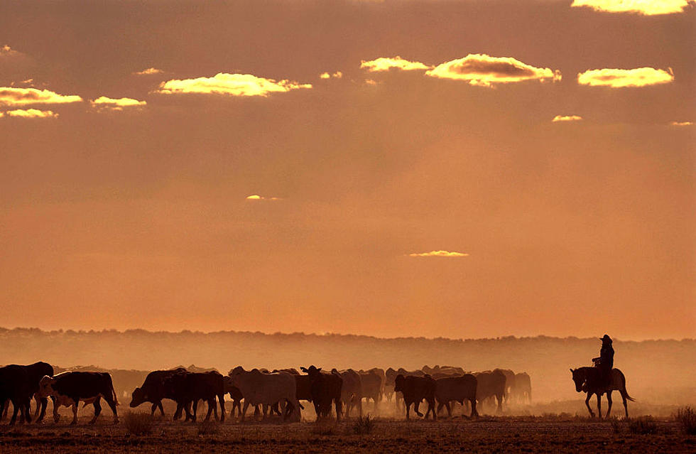 The Texoma Ghost Town that Six Million Cattle Traveled Through