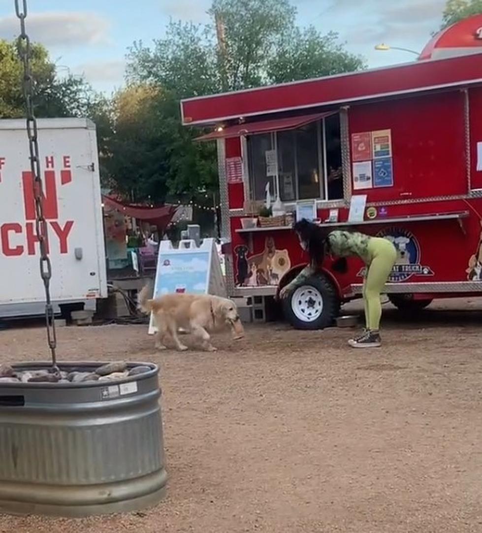 Texas Food Truck Has a Dog That Delivers Your Treats