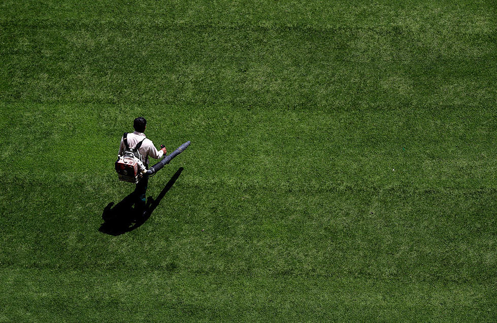 Dallas Could Ban Gas Powered Leaf Blowers