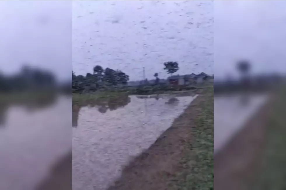 Viral Video Shows a Huge Swarm of Mosquitoes in Texas