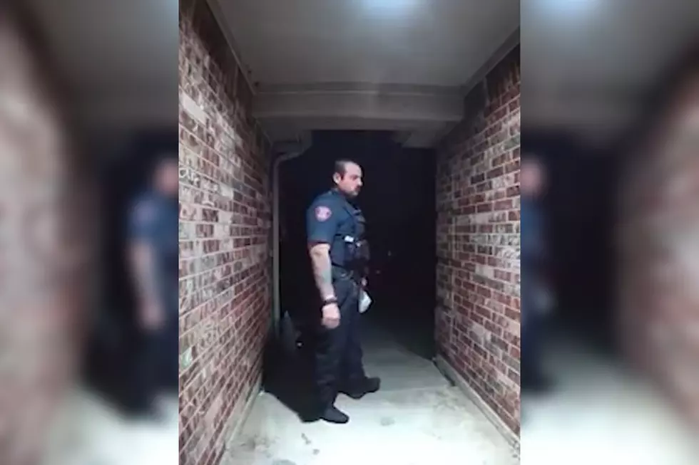 Texas Police Officer Makes the Delivery After Arresting DoorDash Driver