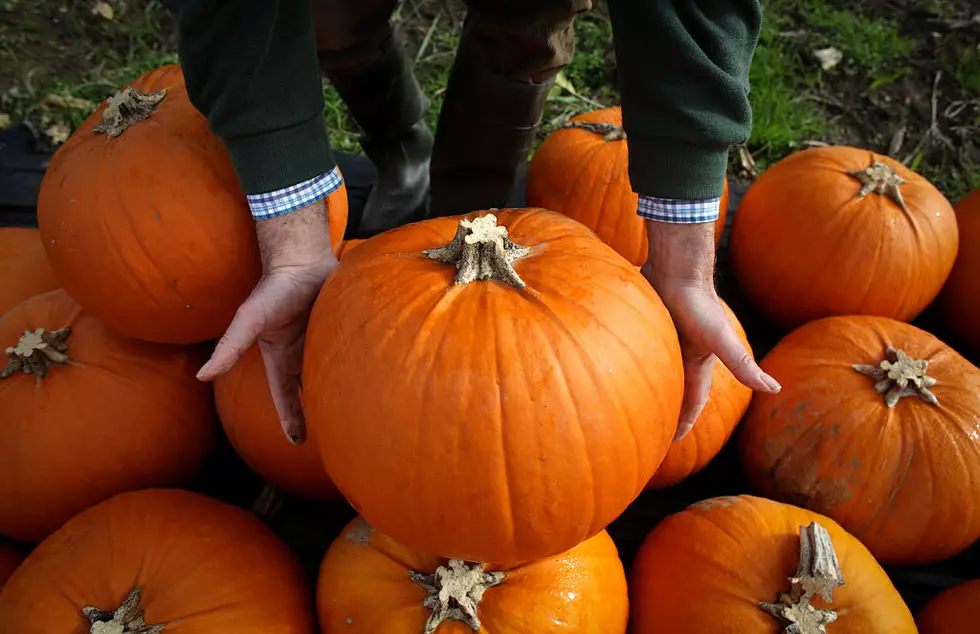 Hundreds of Thousands of Dollars Worth of Meth Found Hidden in Pumpkins at the Texas Border
