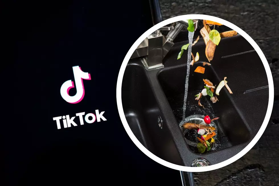 TikTok Cleaning ‘Hack’ Fried My Garbage Disposal [VIDEO]