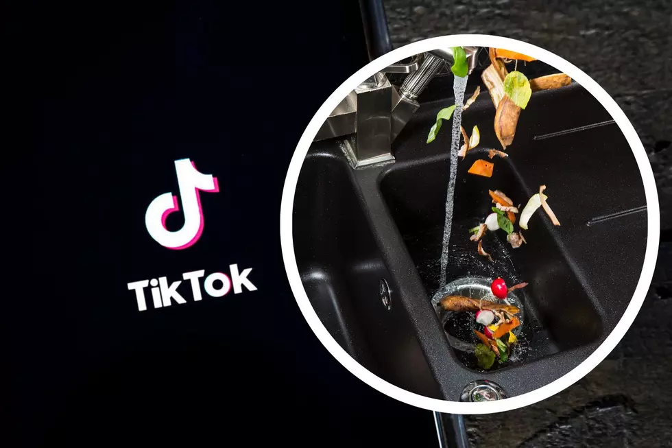 TikTok Cleaning &#8216;Hack&#8217; Fried My Garbage Disposal [VIDEO]