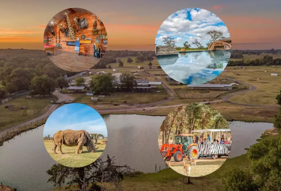 Check Out This Massive Texas Safari That Is Now for Sale with Animals INCLUDED