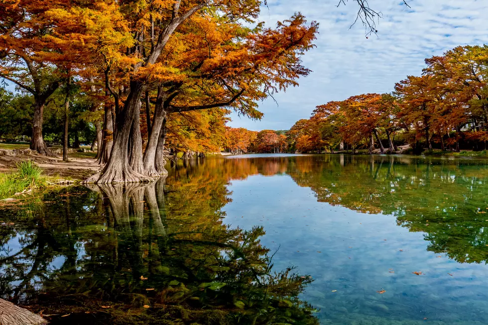 Where Does Texas Rank Among the Best States for Living Off the Grid?