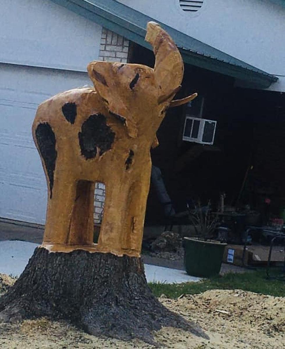 Texas Woman Turns Dead Tree Into an Awesome Elephant Statue