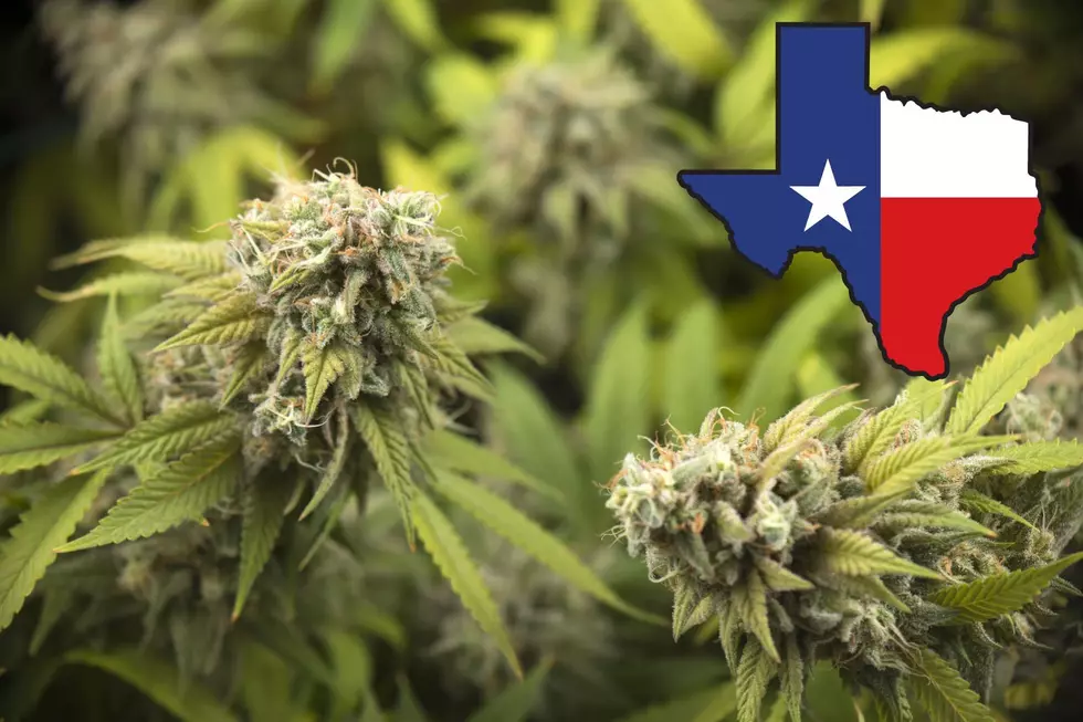 Bill Filed to Allow Texas Cities and Counties to Legalize Weed
