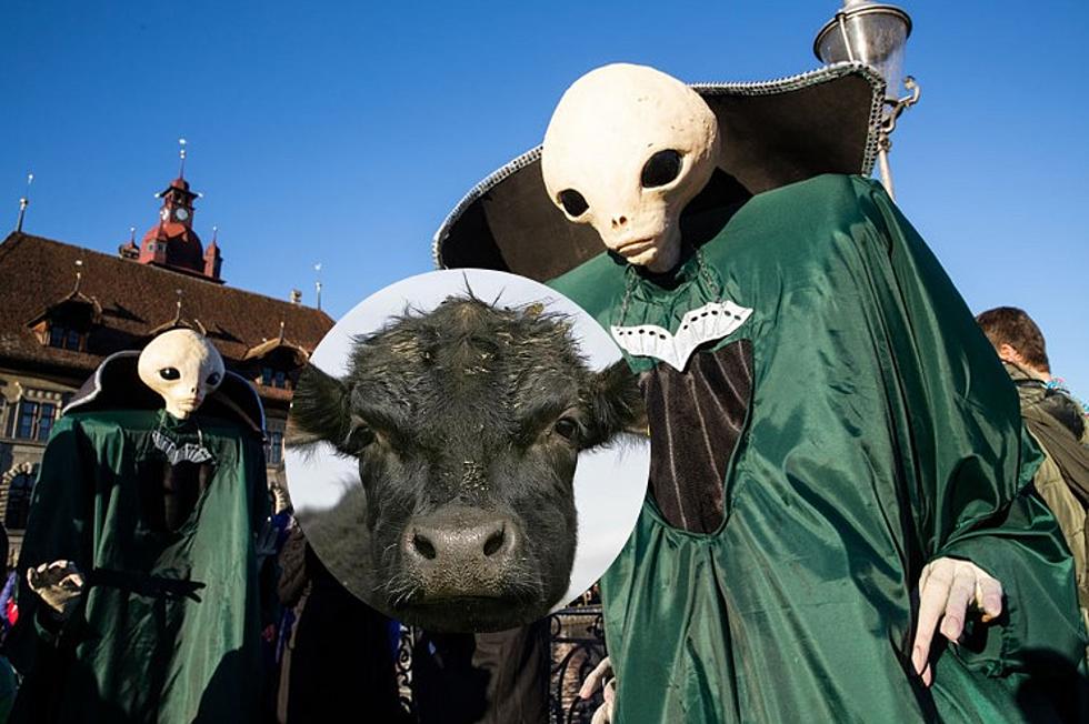 Are Aliens Attacking Cattle in This Texas Town?!
