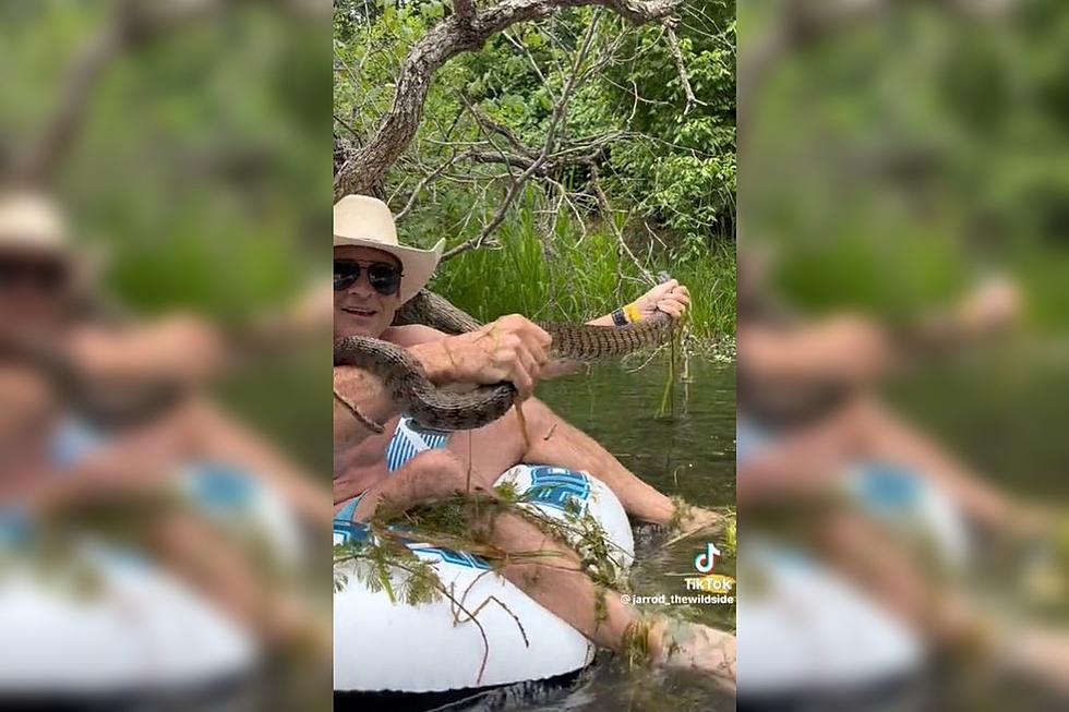 Man Calmly Pulls Huge Snake From Texas River, Gets Bit Multiple Times