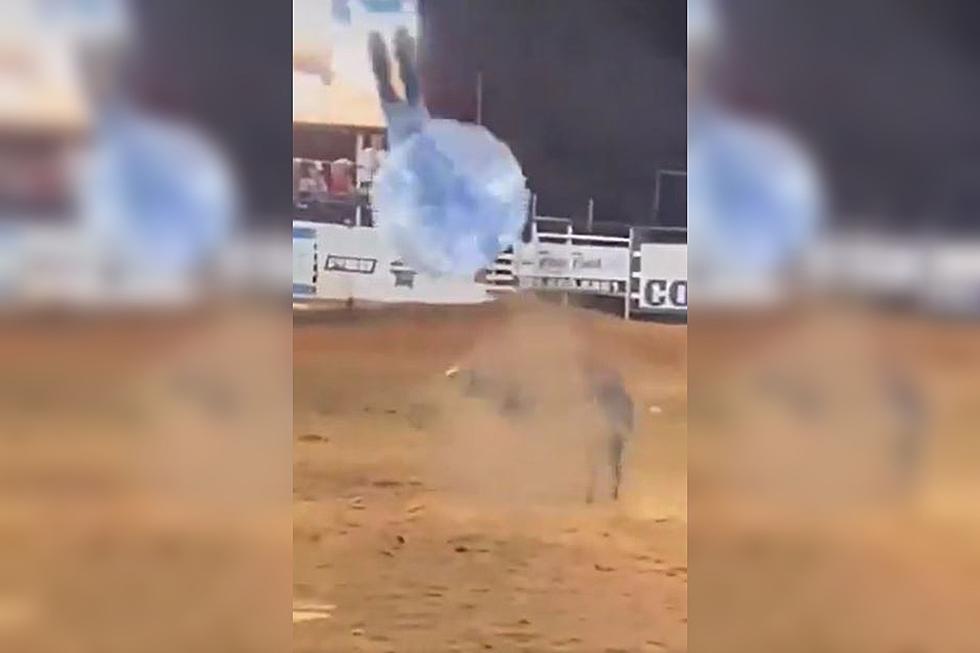 Watch a Bull Launch People During &#8216;Bubble Bull Soccer&#8217; at Texas Rodeo