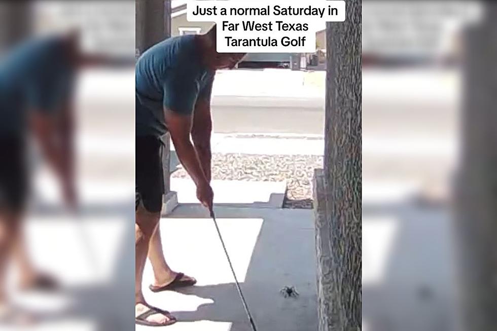 Guy in West Texas Uses Golf Club to Chip Huge Tarantula Off His Porch
