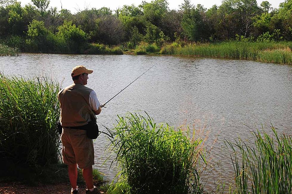 Bet You Can’t Guess What the Most Popular State Park in Texas Is