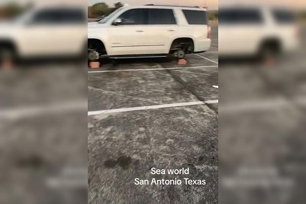 Vehicle Has All 4 Wheels Stripped in the SeaWorld San Antonio Parking Lot