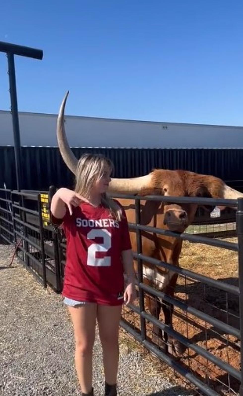 Oklahoma Moron Gets INSTANT Karma from Texas Longhorn [VIDEO]