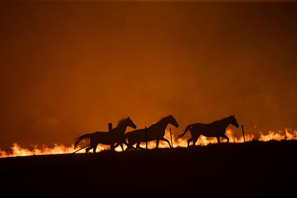 The Most Destructive Wild Fires in Texas History
