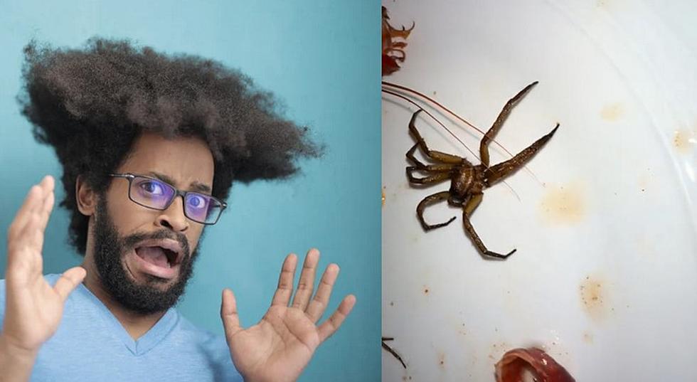 Getting Ready for Crawfish in Texas? This Woman Found a Bunch of Spiders in Her Order