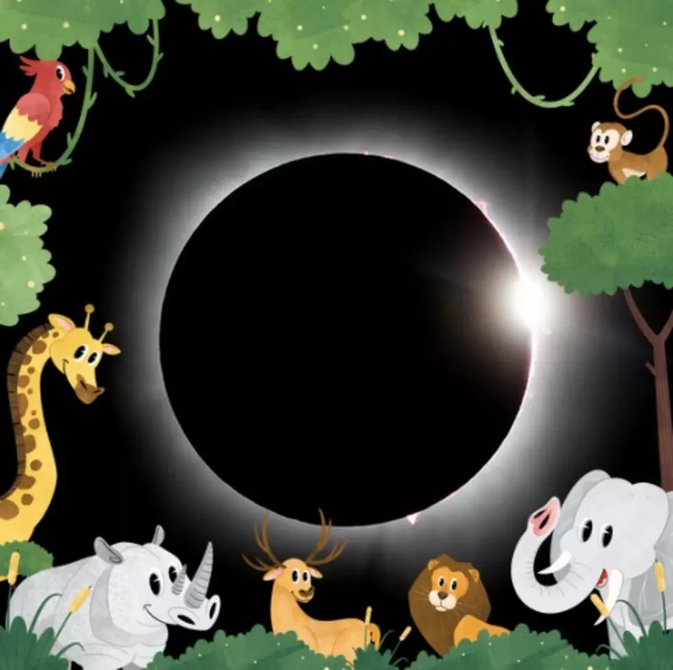 Dallas, Texas Zoo Animals Not the Biggest Fans of the Solar Eclipse