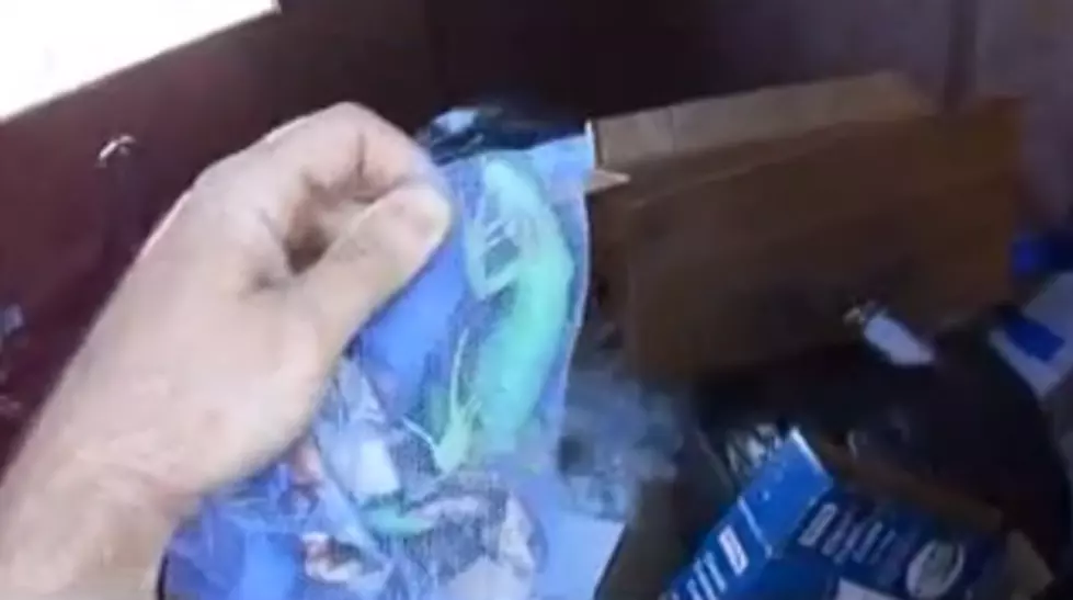 Shocking Video Shows Live Iguana Found in Dumpster Behind Wichita Falls Petco