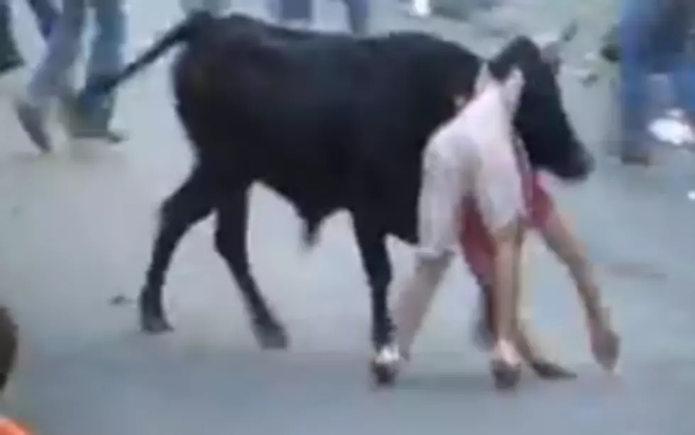 Stupidity or Insanity?  Bullfighting &#8211; The Spanish Way [VIDEO]