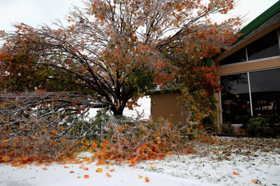 North Texas Ice Storm Damage Reaches $30 Million