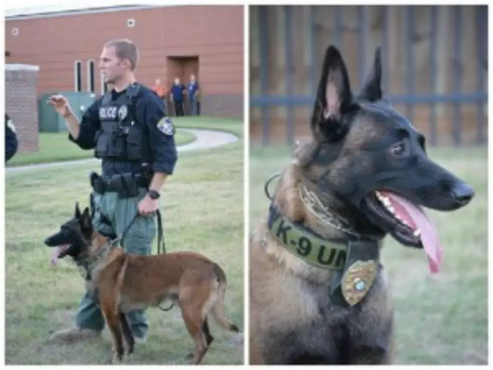 Officer New and K-9 Turko Honored by Optimist Club of Wichita Falls