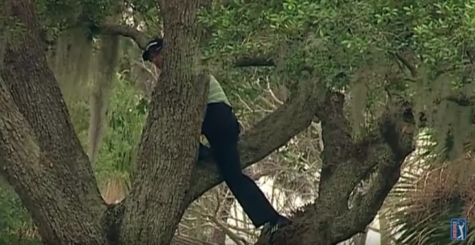 Golf Season Can Sometimes Mean Some Crazy Shots [Video]