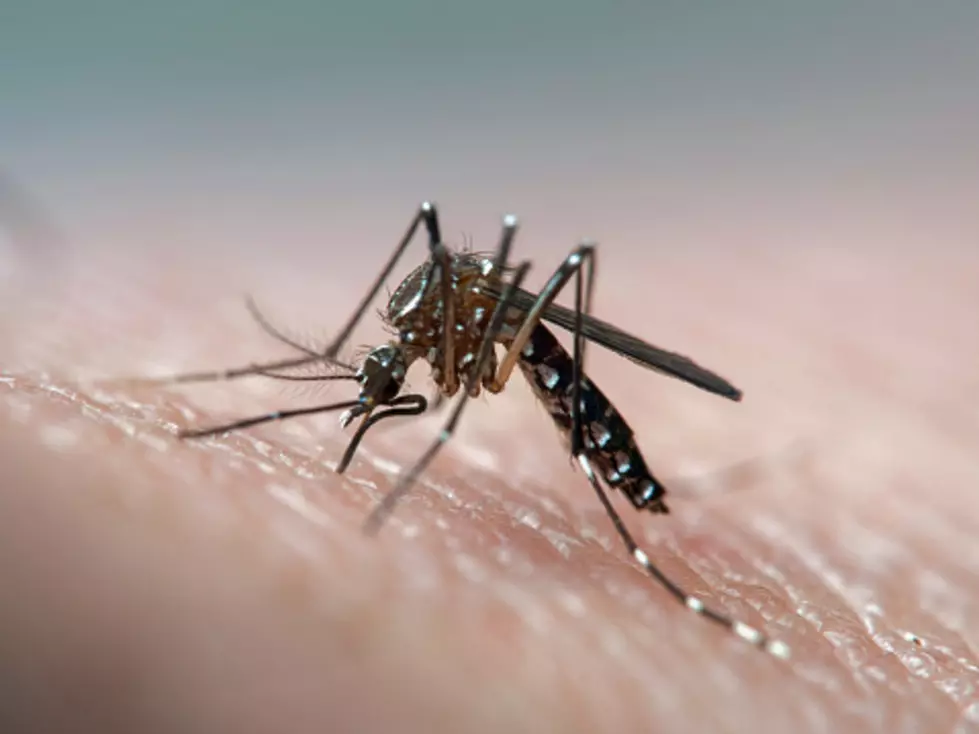 Texas Announces its First Locally Transmitted Zika Case