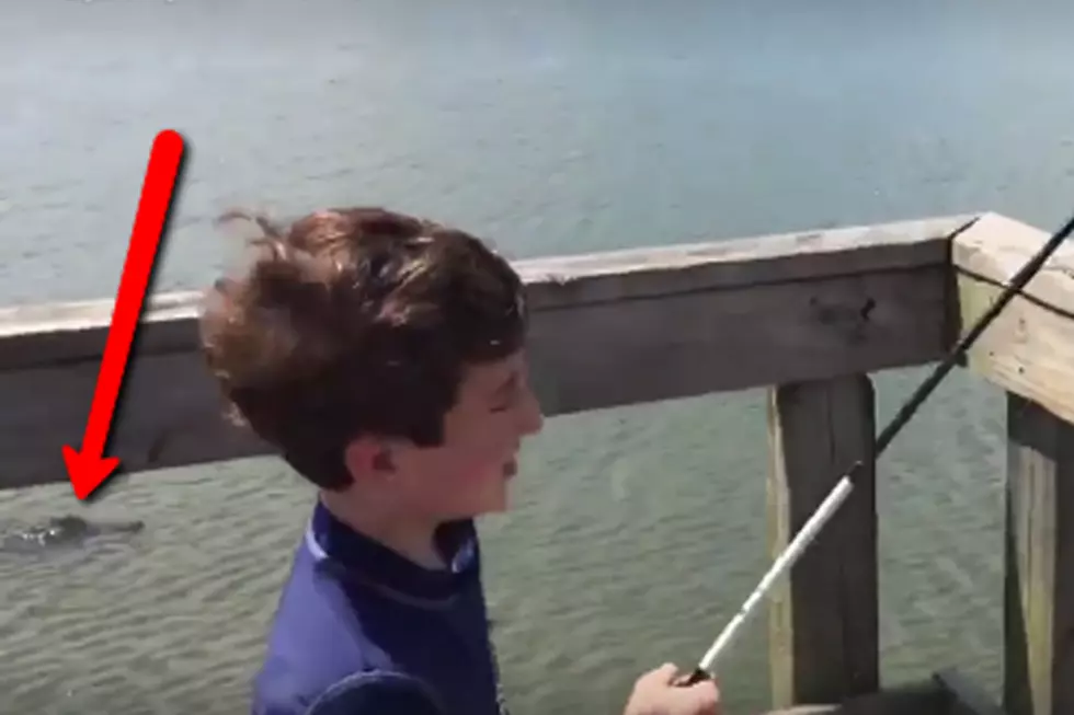 Ferocious Alligator Swoops In and Steals Boy’s Catch Off His Fishing Line