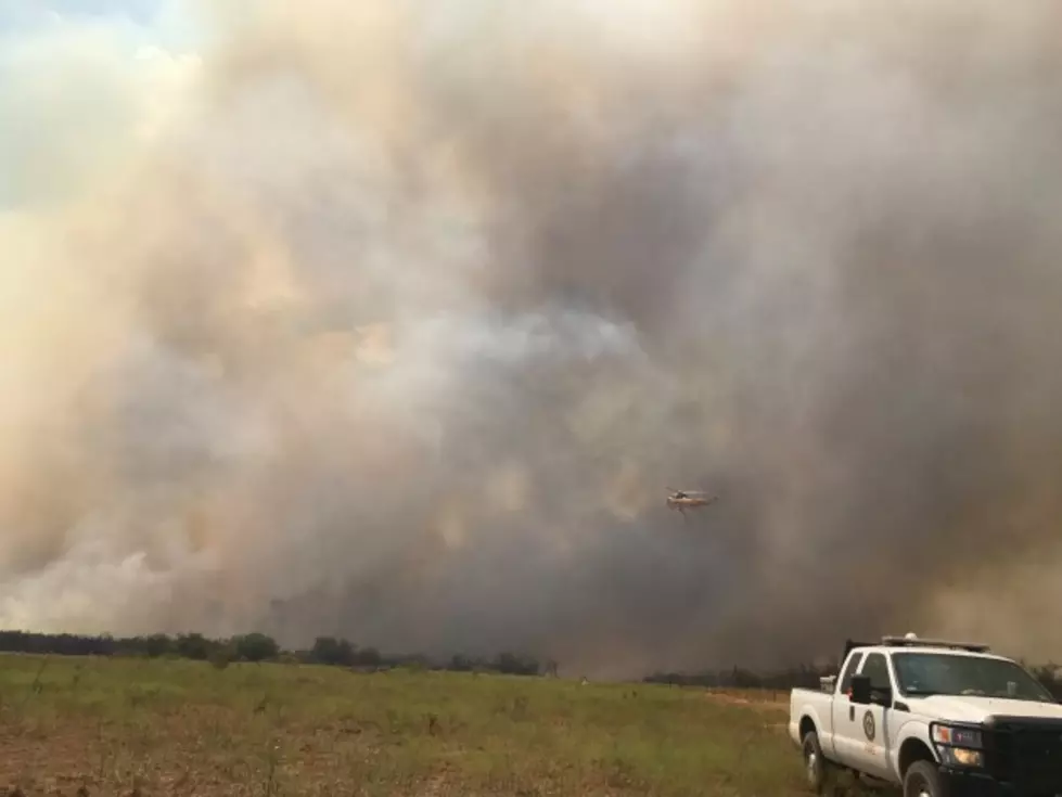 Volunteers, Texas Forest Service Battle Copper Breaks Blaze