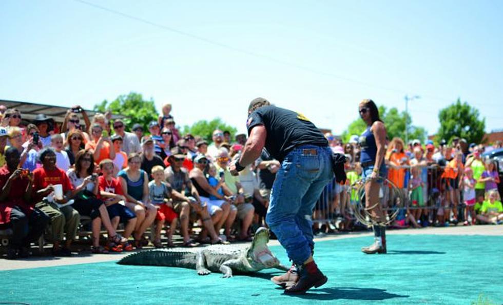 Cajun Fest is Back for 2021